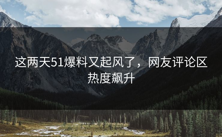 这两天51爆料又起风了，网友评论区热度飙升